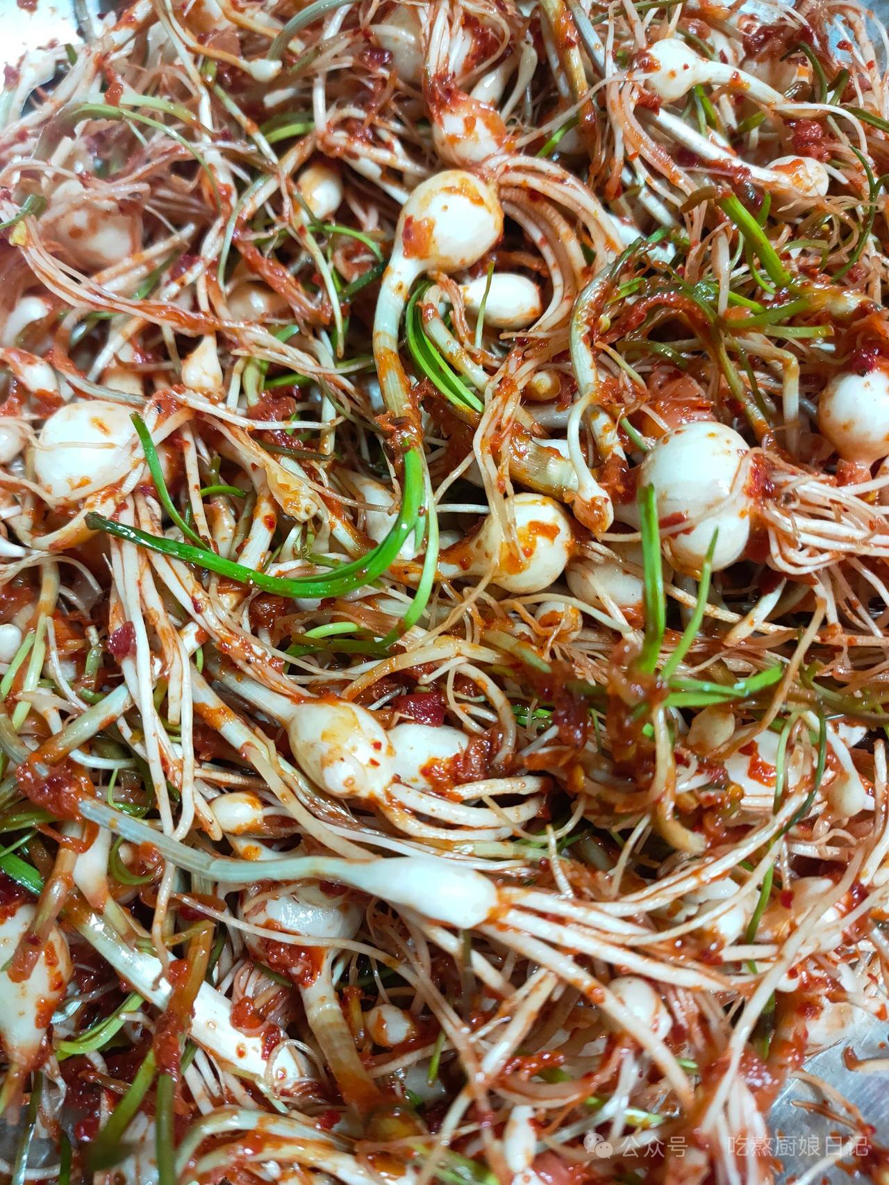 辣爽开胃的凉拌豆芽，夏天必备小清新！🌶️🥗