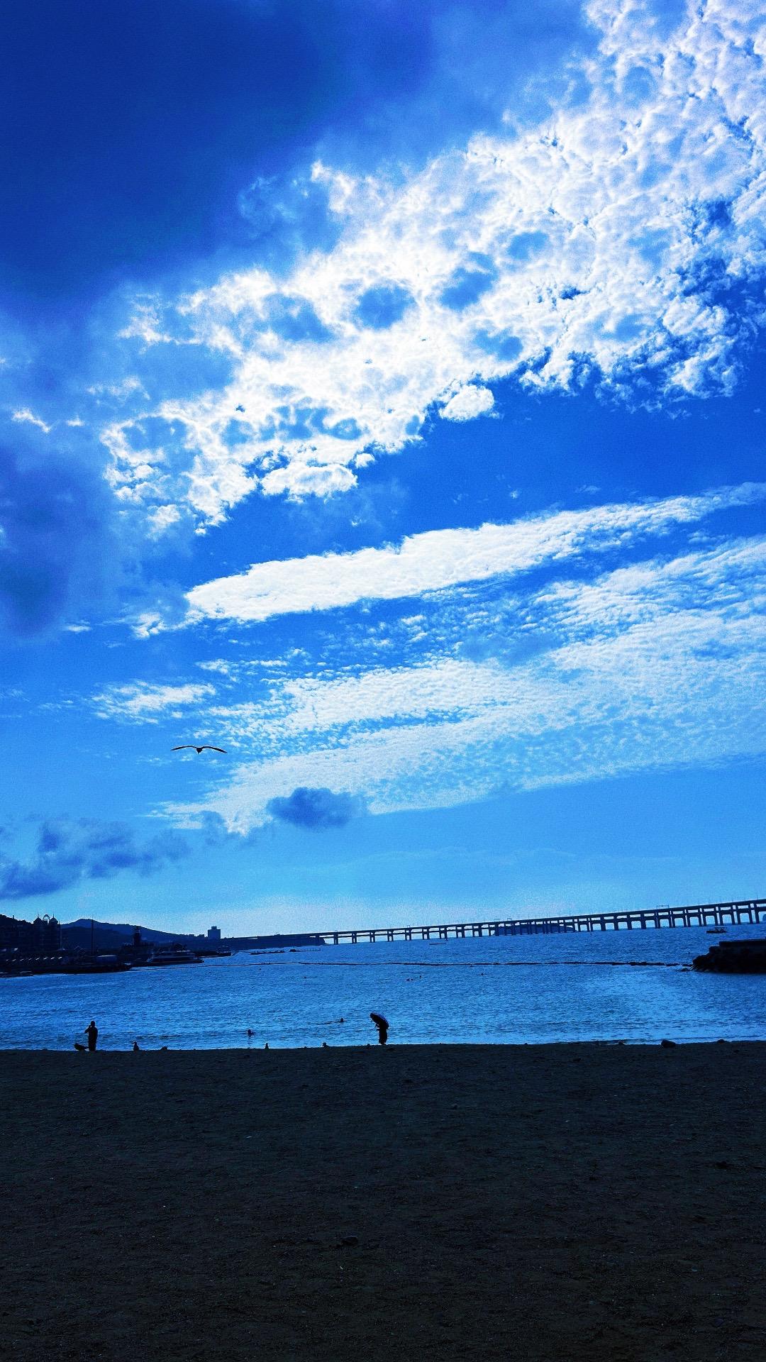 碧海长桥横卧，云漫长空，海鸥掠过宁静海滩。海滨治愈 海边随手拍 蓝天海岸