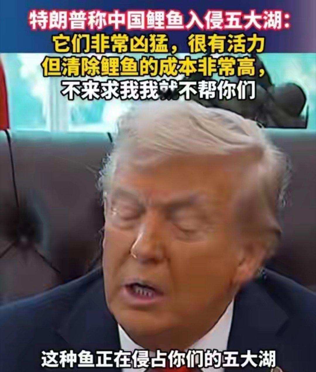 特朗普对鲤鱼宣战懂王整出了新活——公开对亚洲鲤鱼宣战，还放话“没人比我更懂鲤鱼，