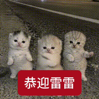 田栩宁 专辑绝对音感的音乐少年🎤视觉中心的小狗🐶全力以赴做好每个舞台🐾从素