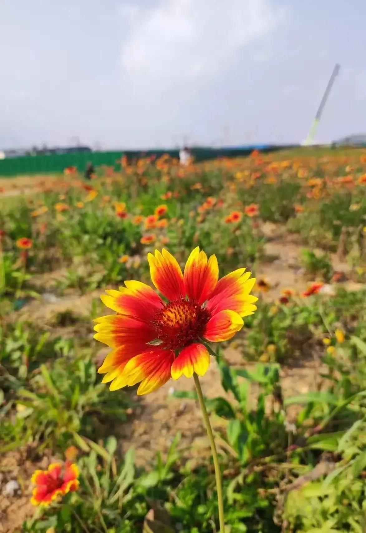 用脚步去丈量世界，
用眼睛去记录风景。