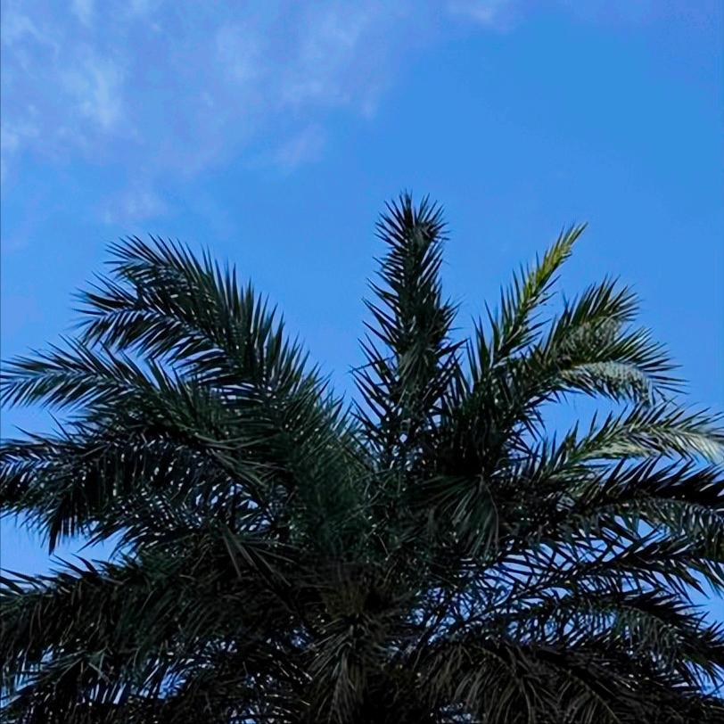 广东第一时间支援香港救灾   我国内地企业及机构对香港救灾捐助款物已超过6亿港元