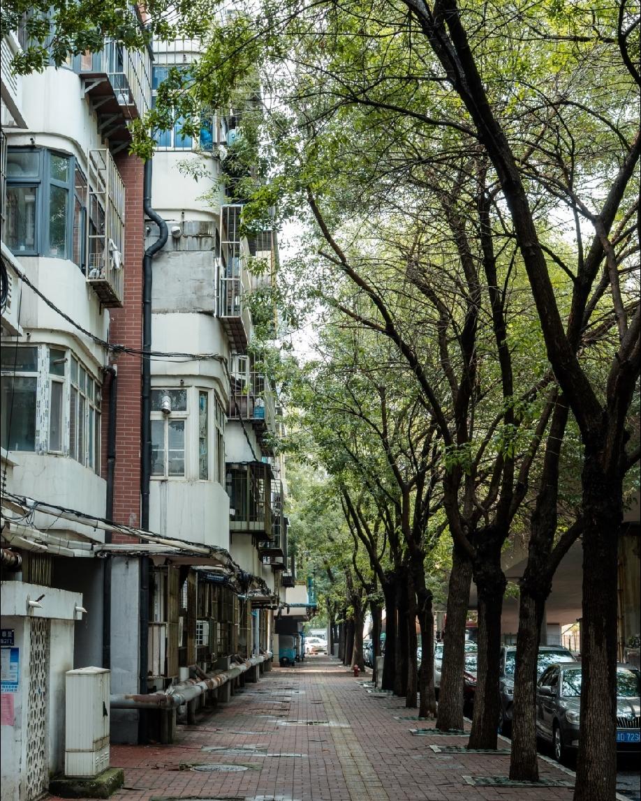 山东专科小伙学室内设计，
受地产行业不景气影响，
加上大企业看重学历，
求职屡屡