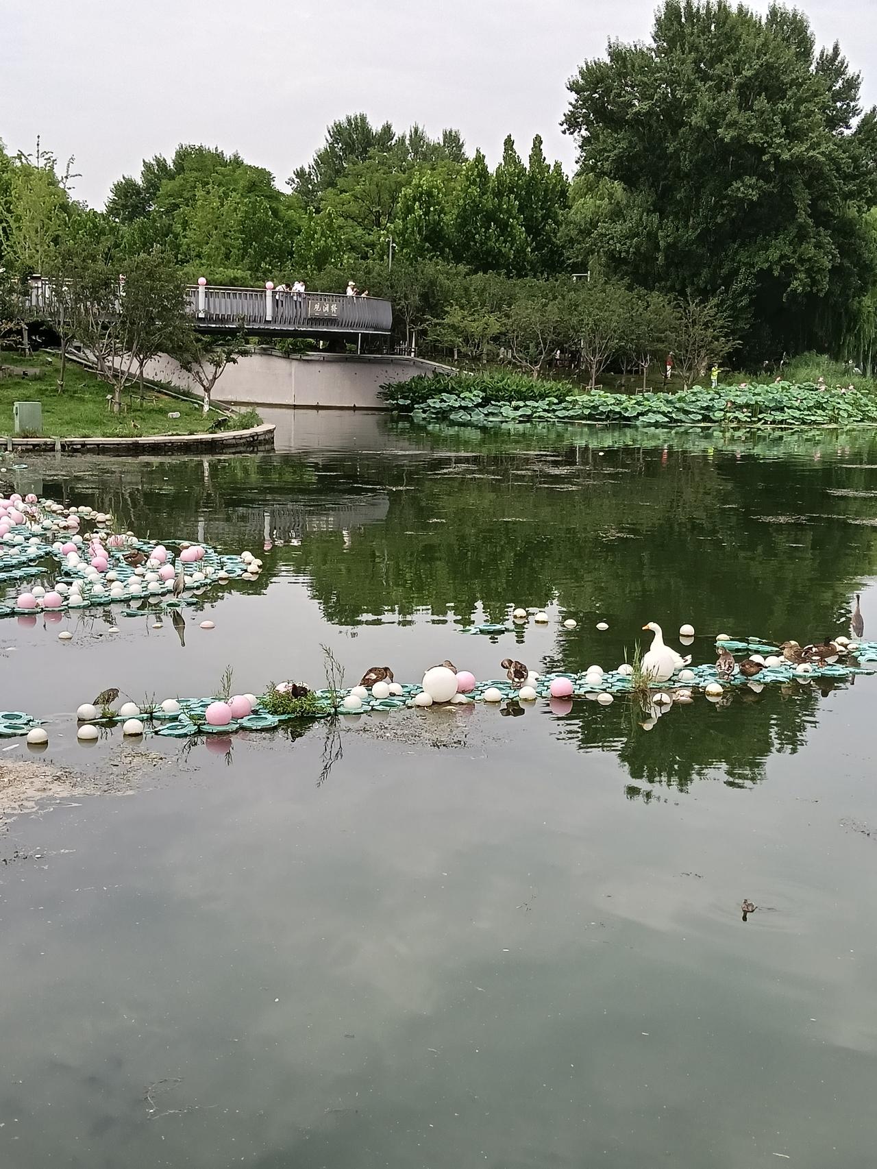 图片很好玩，内容说的很有哲理性