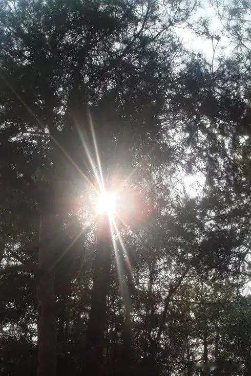 文学应该暴露黑暗还是宣传正能量? 文学应该暴露黑暗还是宣传正能量? 文学究竟该暴