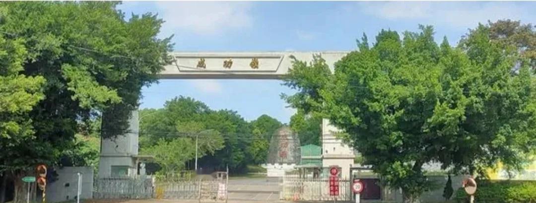  更多内容↓↓↓