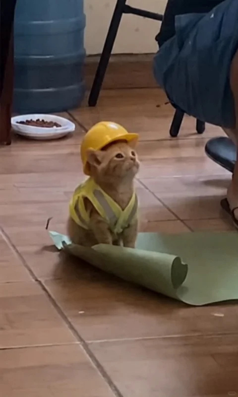 师傅，你是做什么工作的？ 