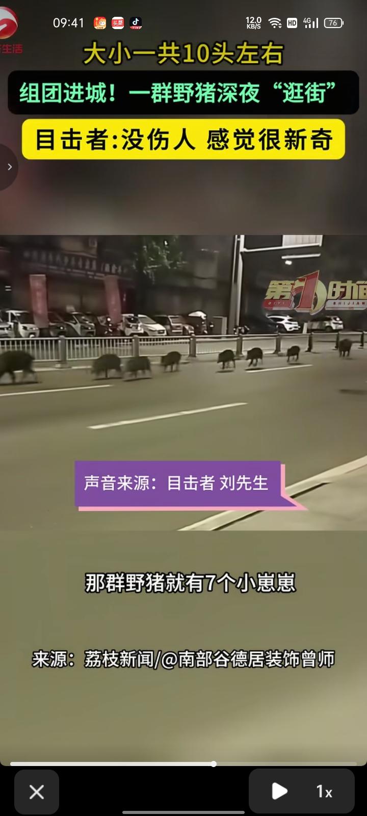 10月7日，南充市南部县。网友发视频称，深夜有一群野猪闯入城区街道，大猪带着小猪