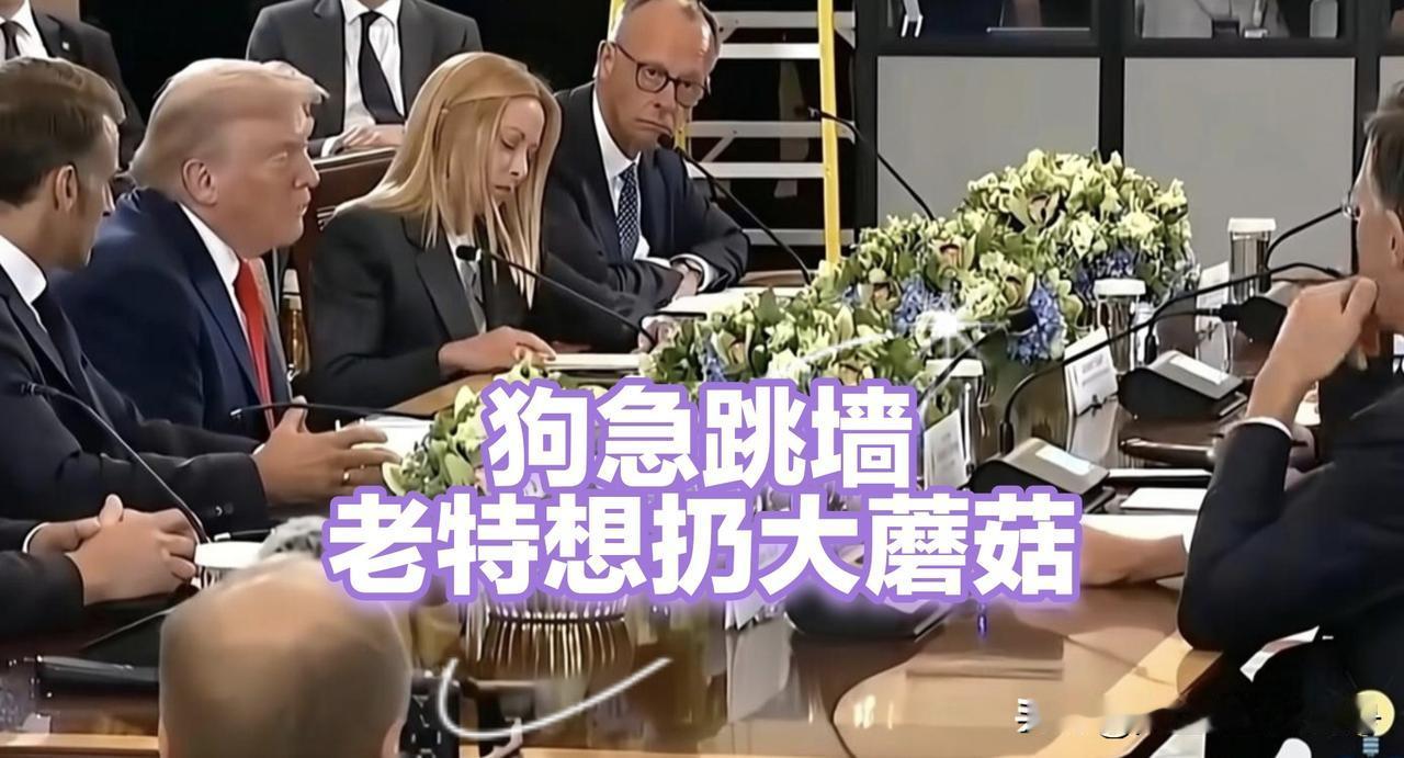 伊朗终于不再听特朗普的任意摆布了。
伊朗明确拒绝了与美在伊斯兰堡进行第二次会谈。