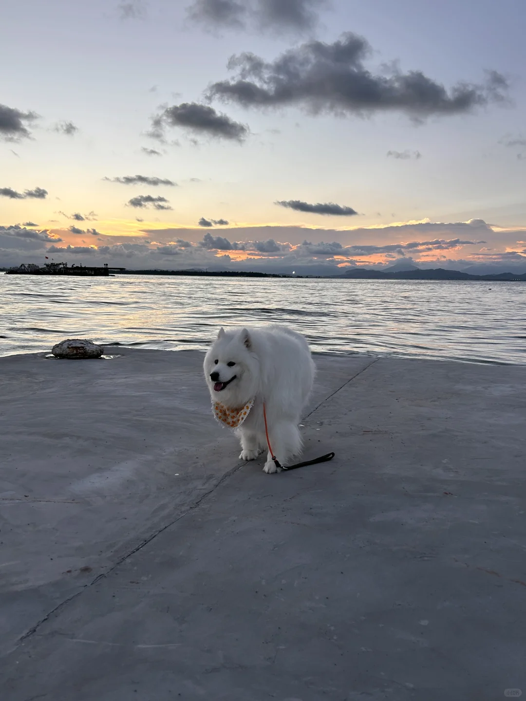 耶守海边日落时