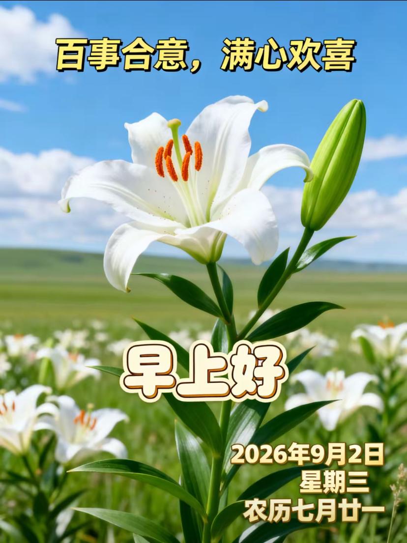 [福]2026./9月2日，幸福藏于日常生活里，静待美好缓缓相逢[福]


🍁