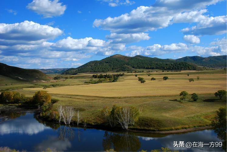 社保死抠缴费，是有道理的。因为除了缴费之外，其他的东西太容易造假了。档案材料都可
