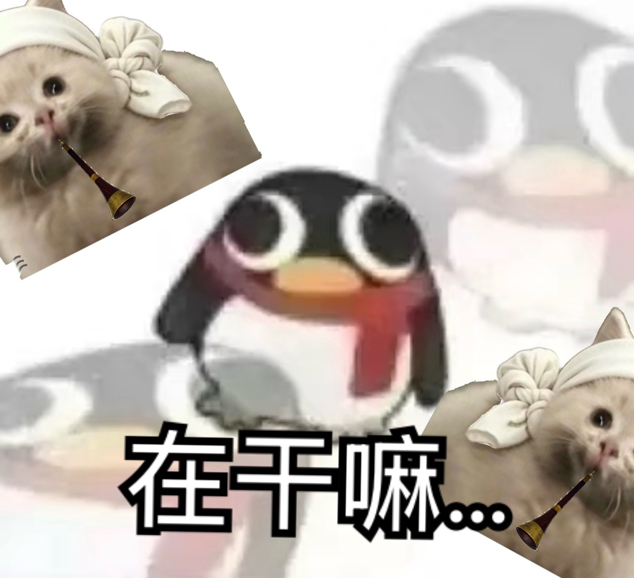 小猫脏兮兮上线并给你来了一段唢呐然后莫名其妙下线 
