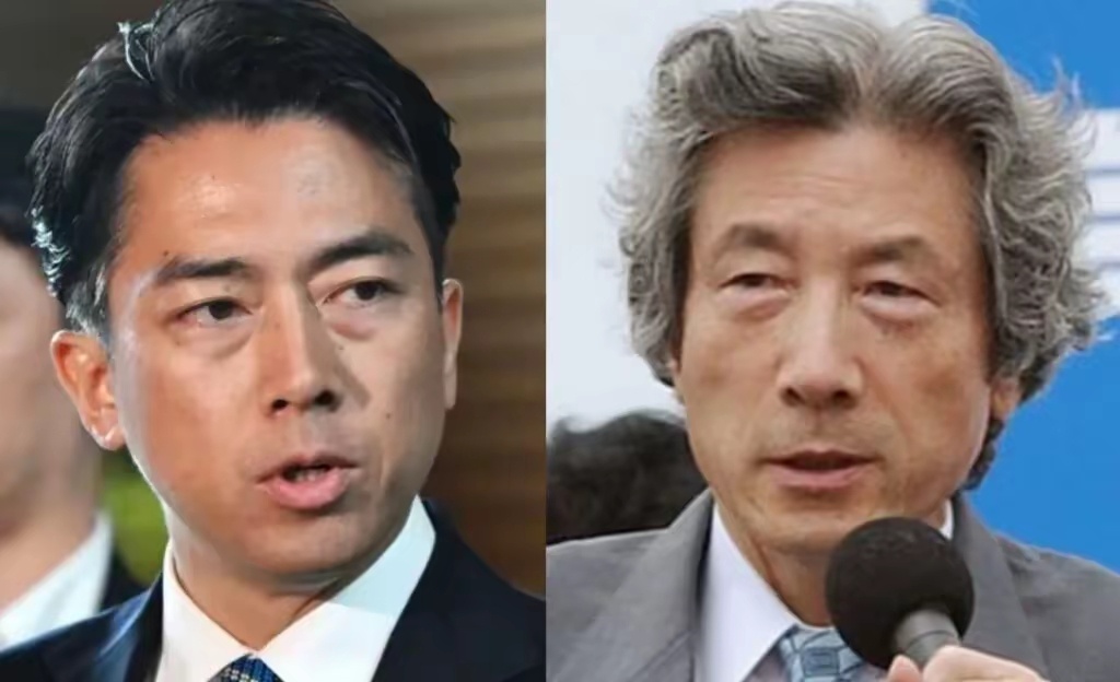 堂堂小泉家族的现任家主，非得把自己名下的资产做成“0”。何苦来哉？ 