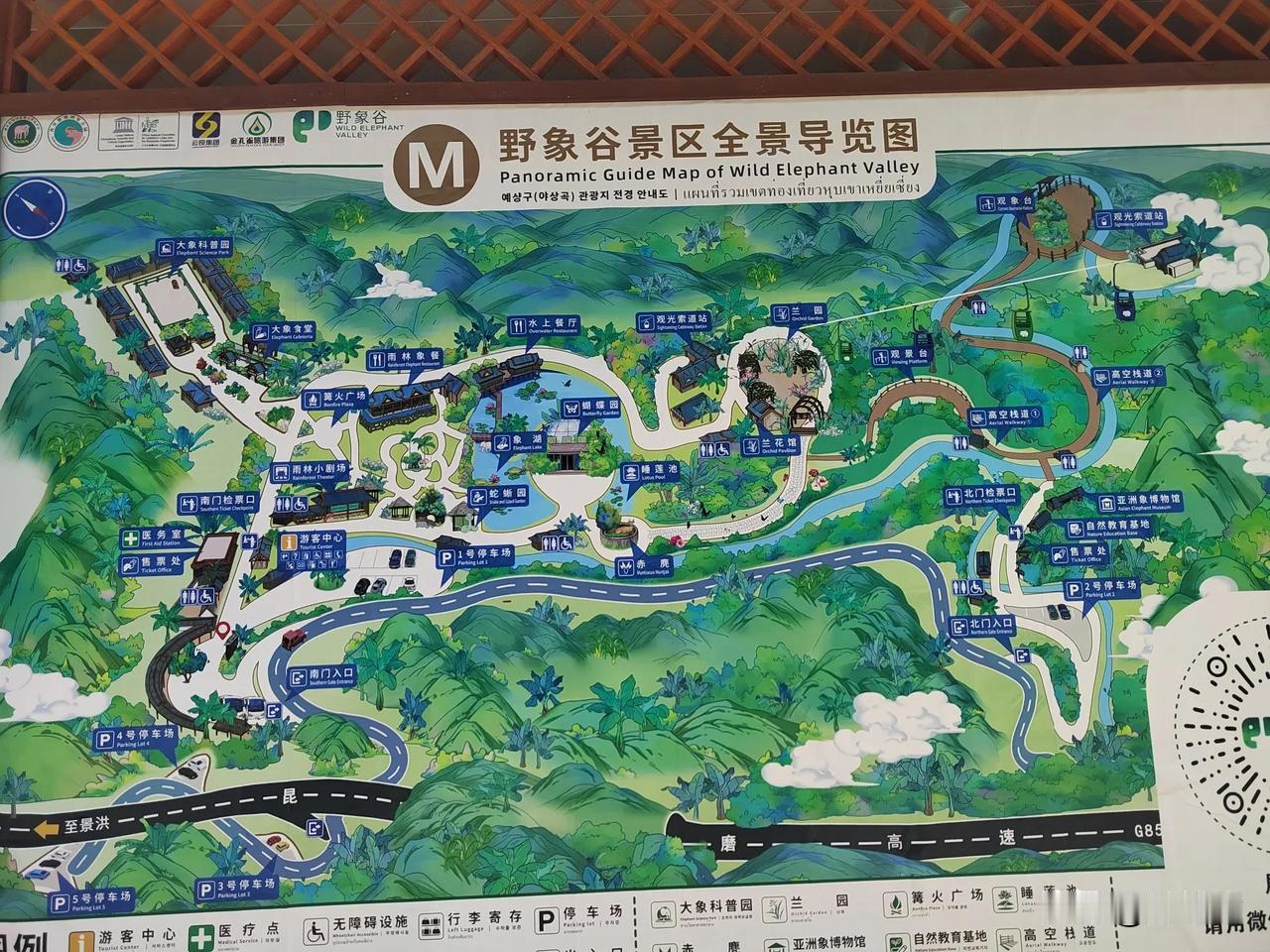 西双版纳野象谷体验极差，门票倒是不贵，进去所有项目都是自费，喂大象给钱，大篮80