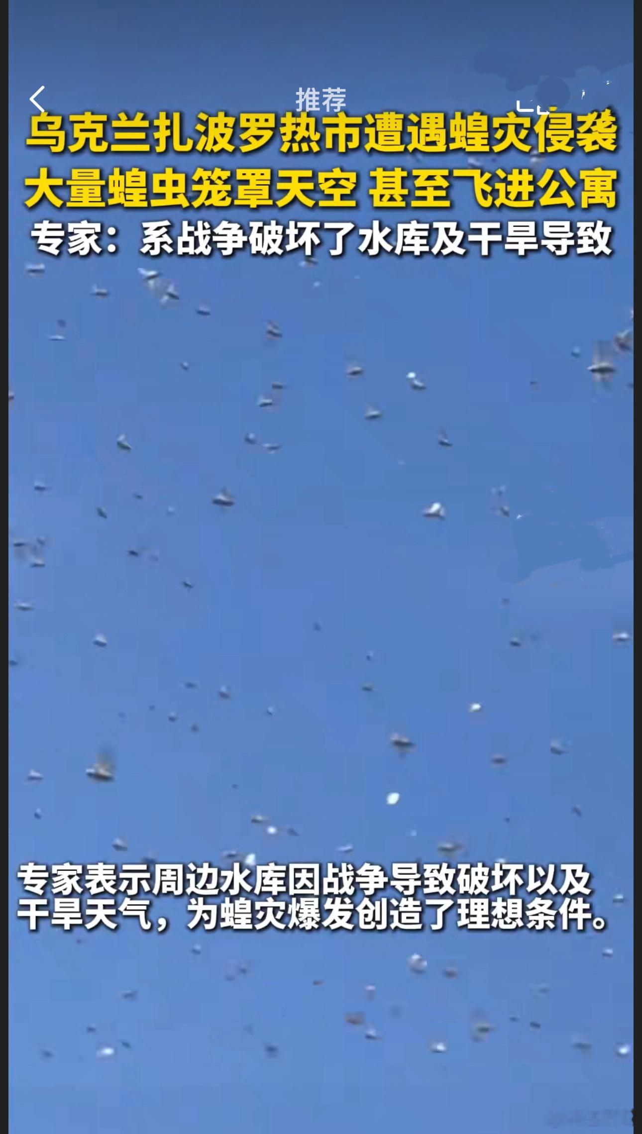 ‼️ 据7月20日报道，乌克兰东部扎波罗热地区发生严重蝗灾，蝗虫群一路从农村蔓延
