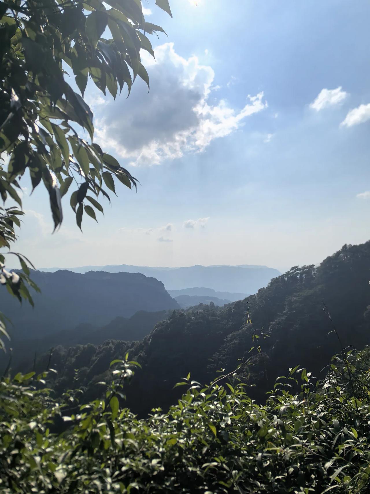 分享一下你随手拍下的照片