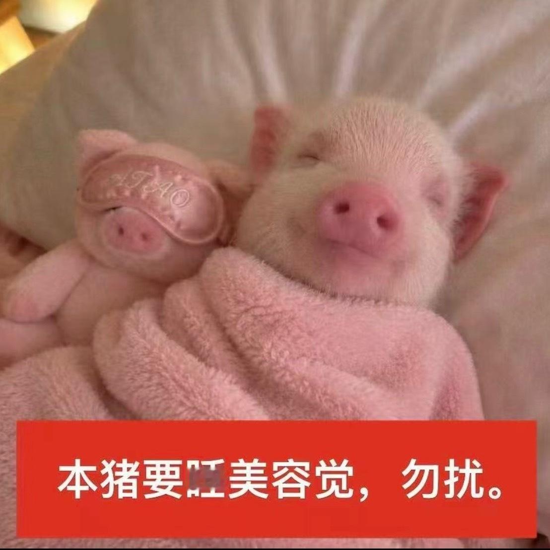 睡觉睡觉 等我睡醒回sx
