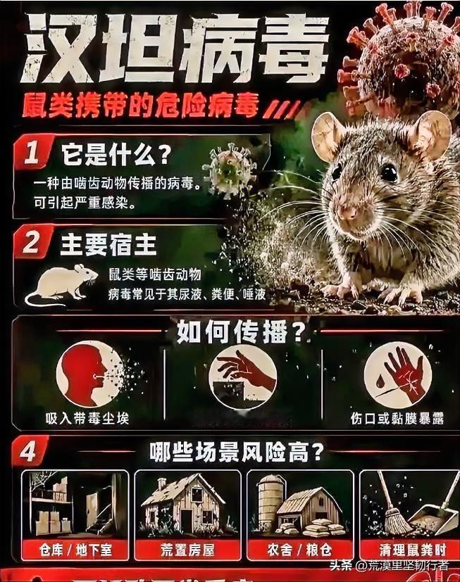 谁也没想到，一场全球紧盯的汉坦病毒疫情，硬生生被一个中国游客的“精准错峰”，搅黄
