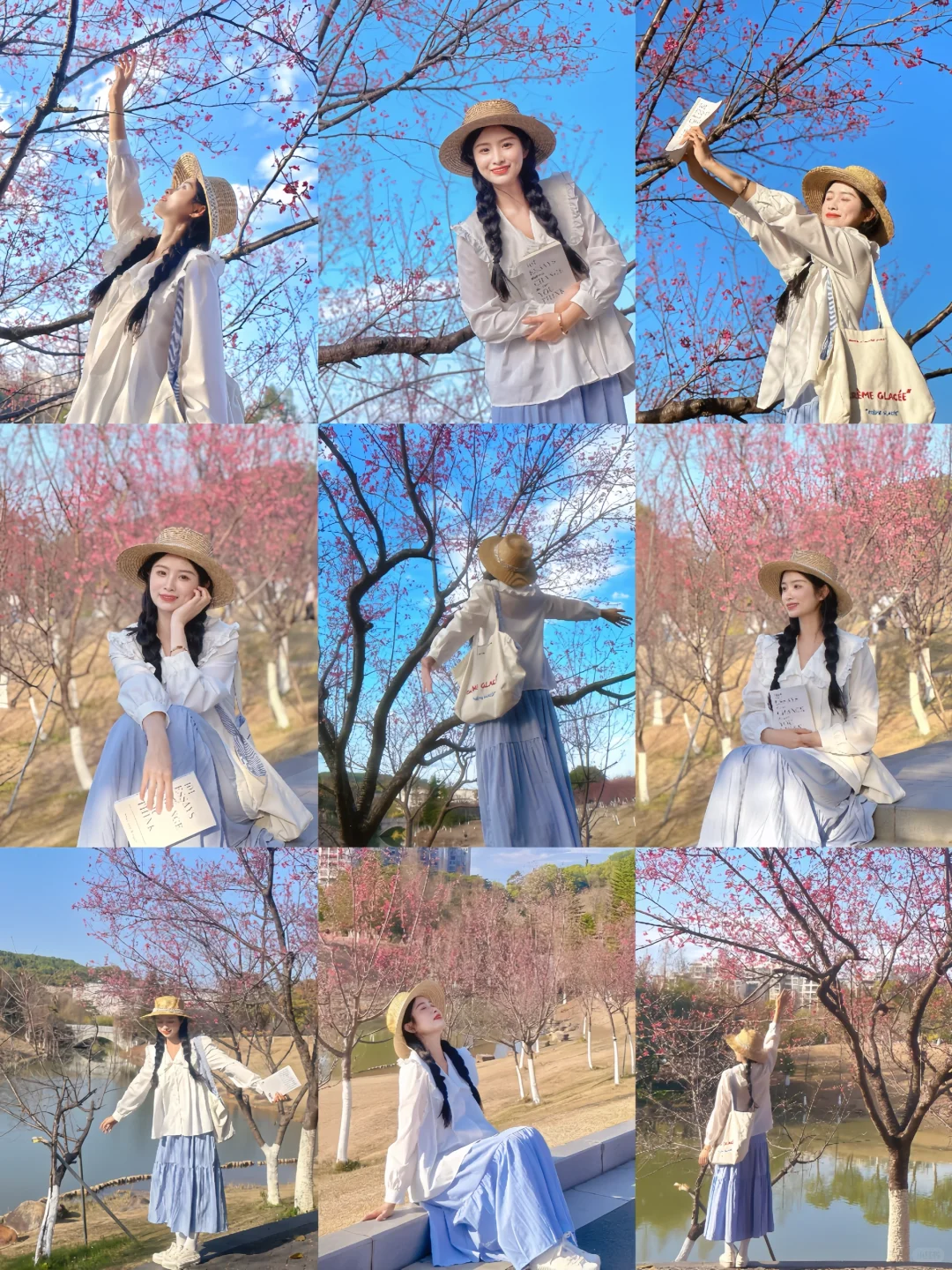 春日来信🌸河源樱花又开啦｜这样拍赞爆py圈
