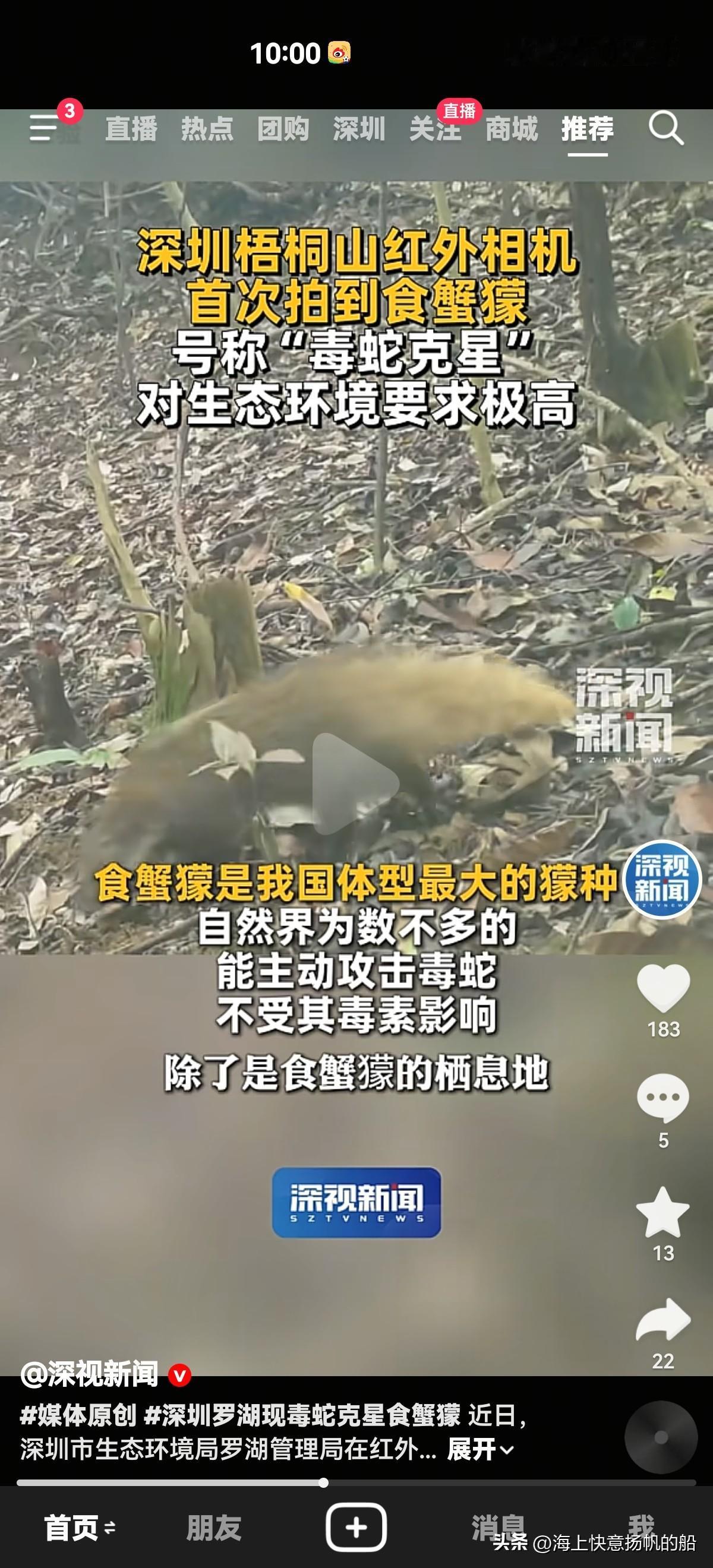 听闻深圳梧桐山出现一种动物叫食蟹獴，说是生态环境好才会有这种动物，而且这种动物天