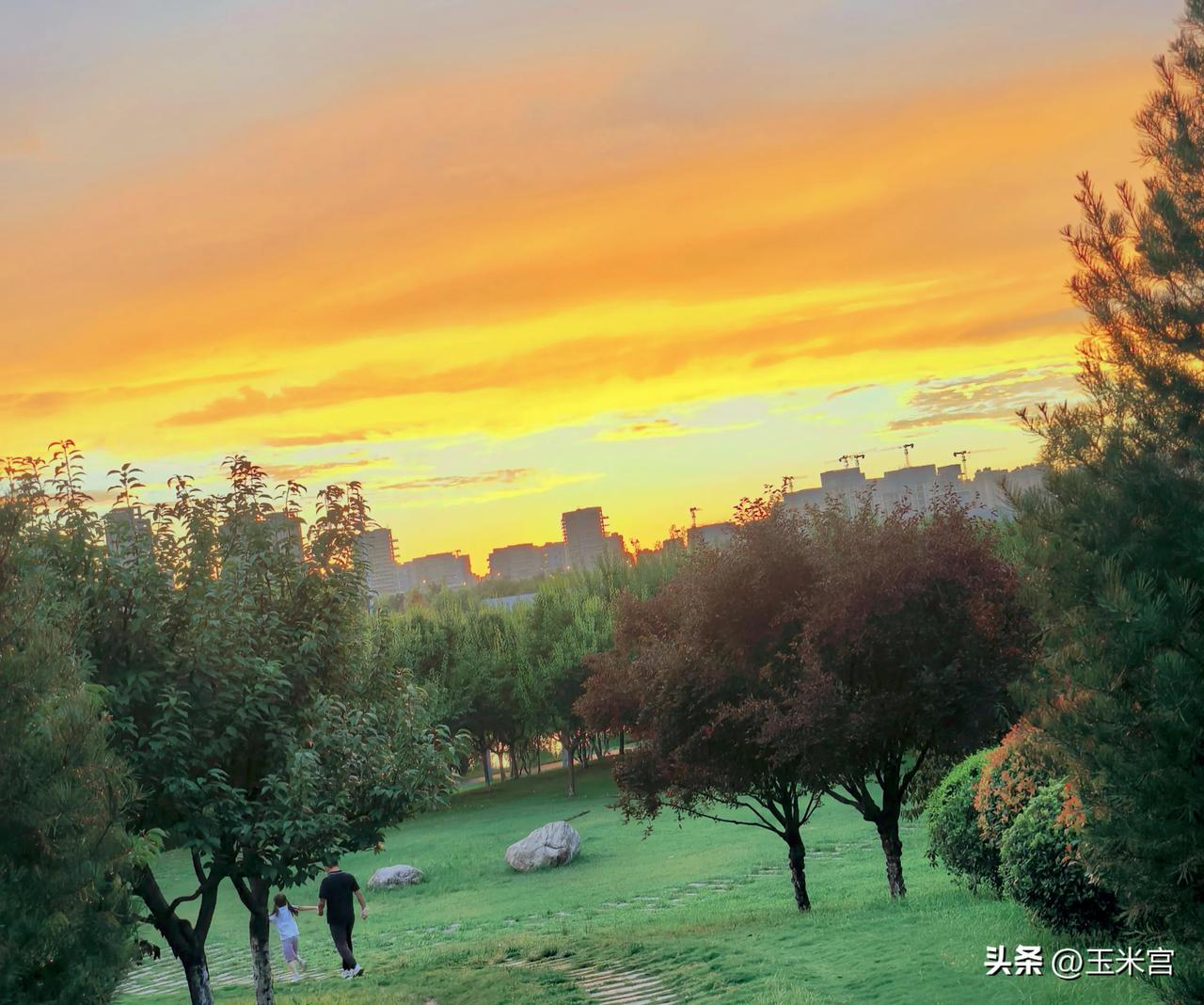 傍晚在灞河遛弯，撞见了一幕，感觉生活中所有的疲惫，都被风揉碎在暖光里。