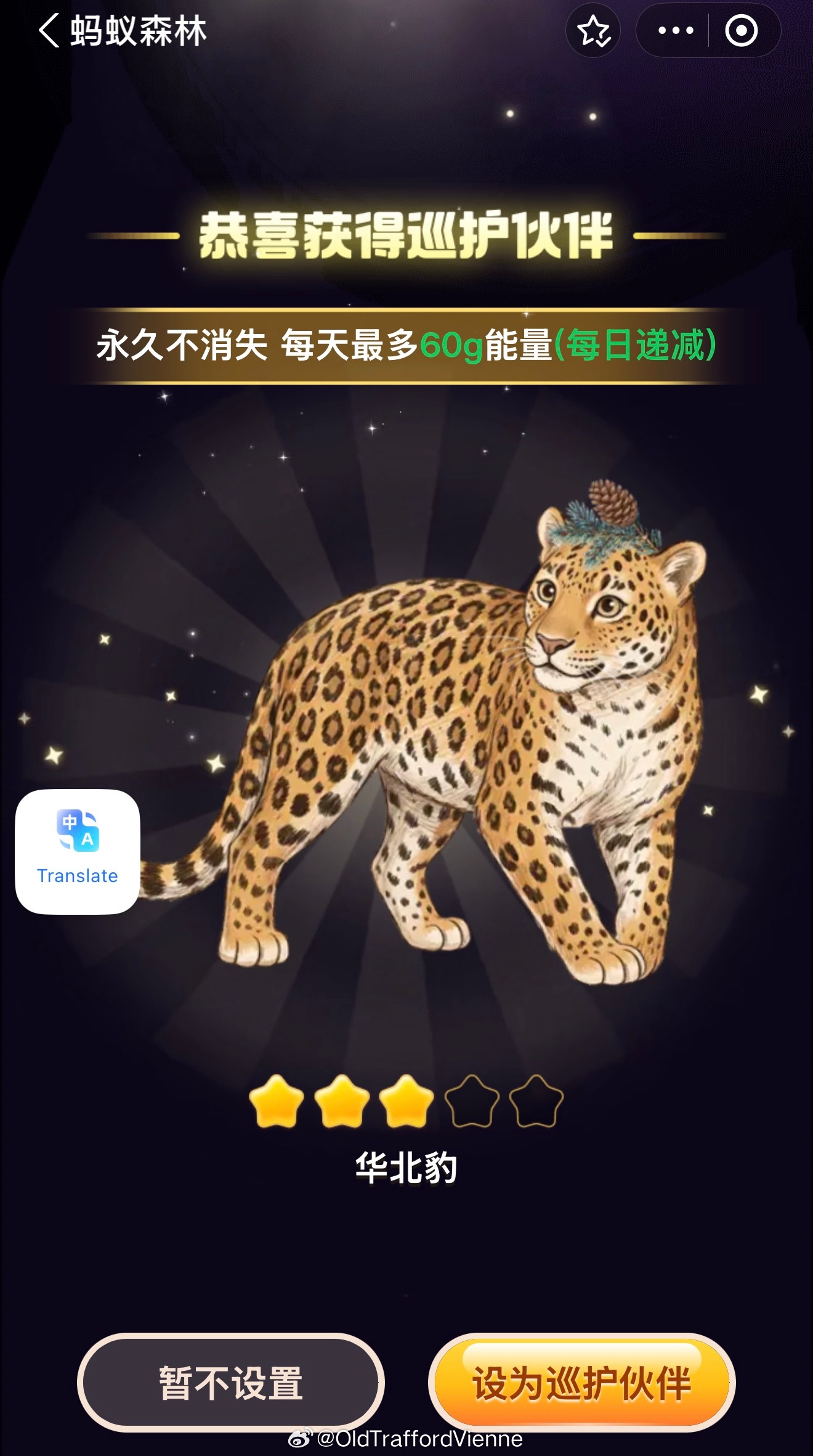 喜豹！王一博[送花花][送花花][送花花]💚💚💚我的新巡护伙伴！最新已经过