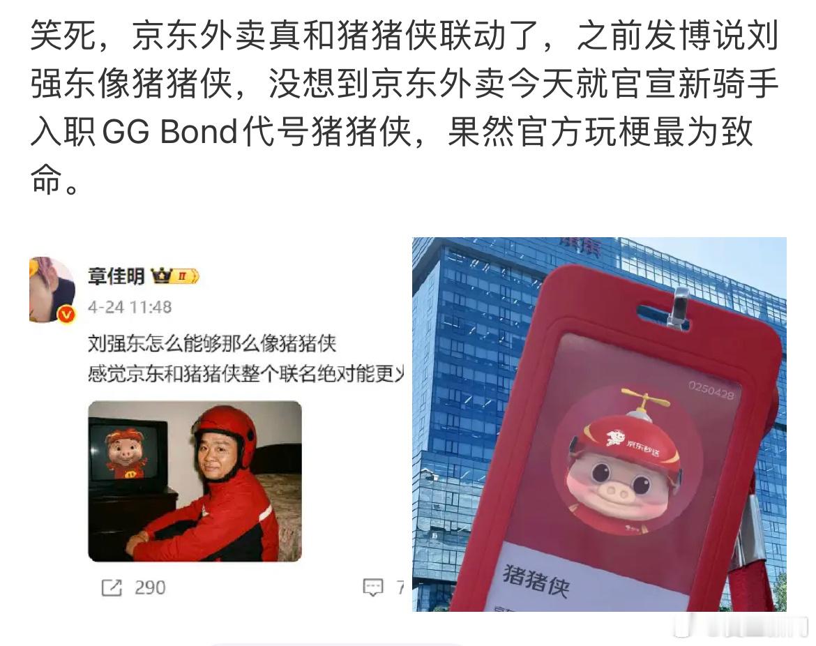 雷军说的没错，商机和市场都在评论区，刘强东真的采取了网友的建议，京东外卖和猪猪侠