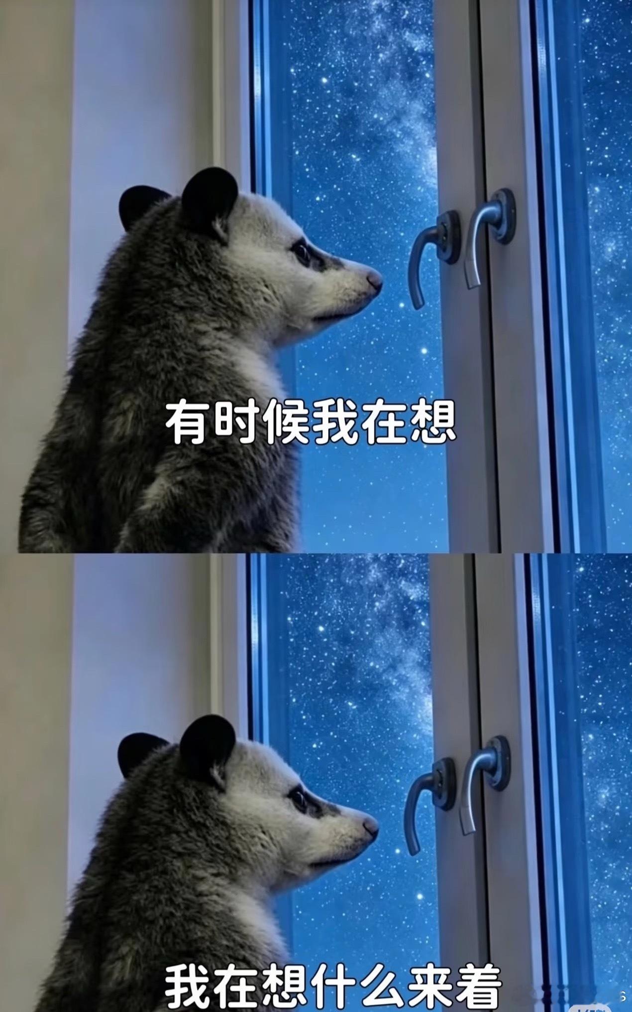 扣扣农场给我打电话 说我菜死了 