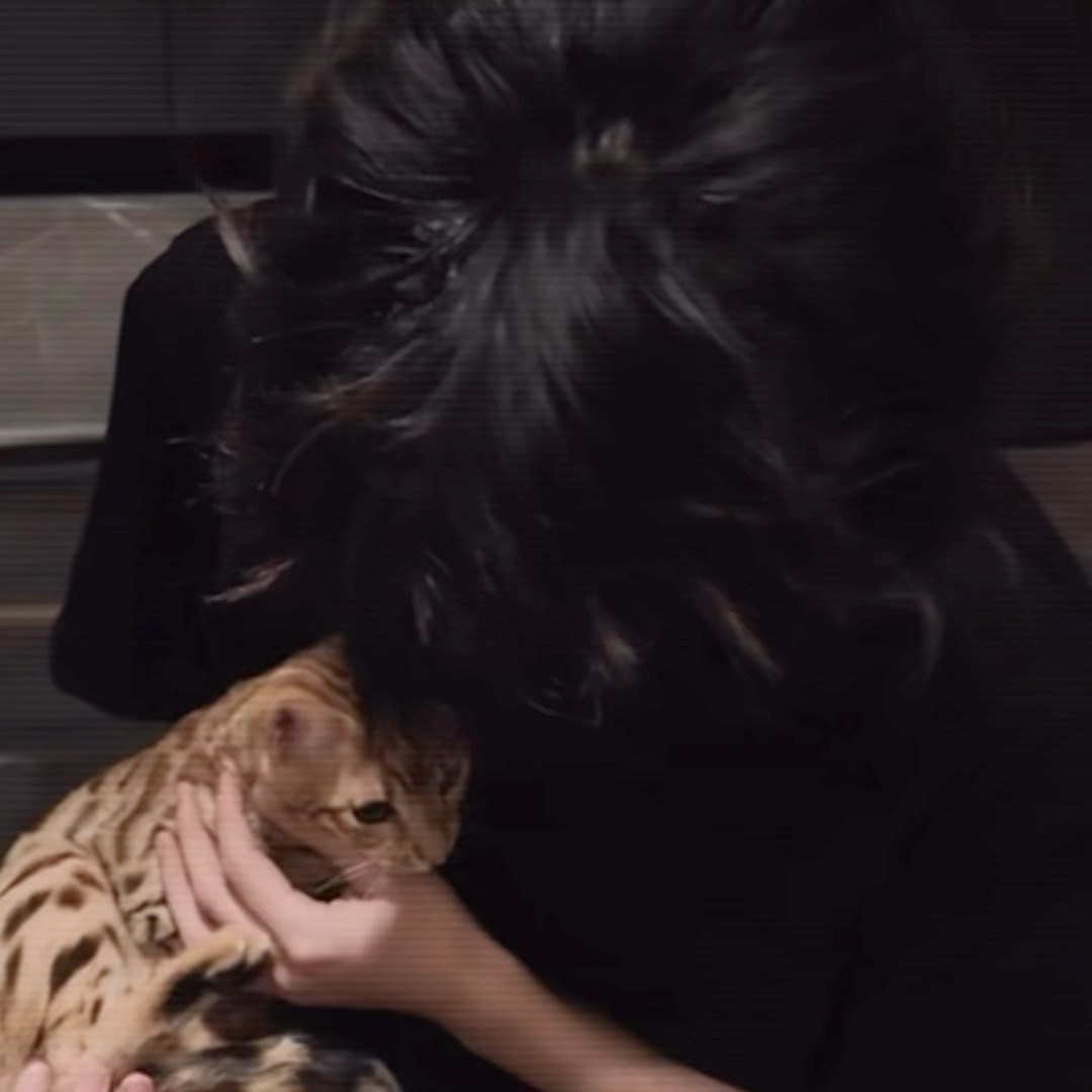 猫猫电话请接通梓渝0706生日快乐