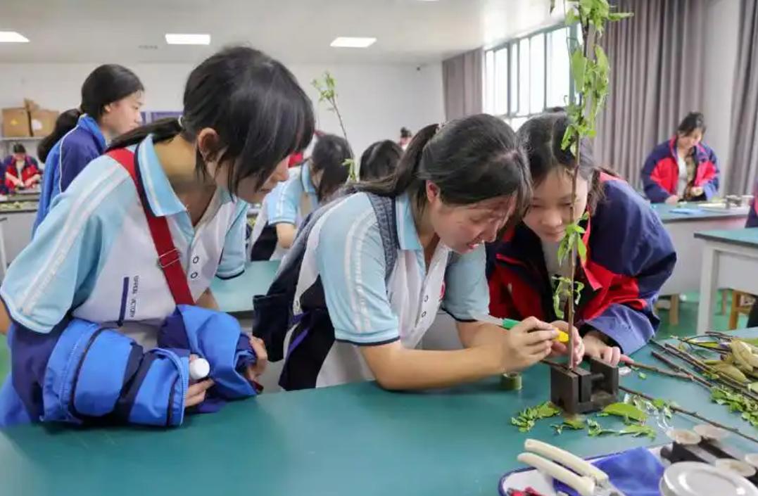 重磅消息！清远两所学校实现本科升学新通道。很多人想不到这竟然是清远两所职业技术学