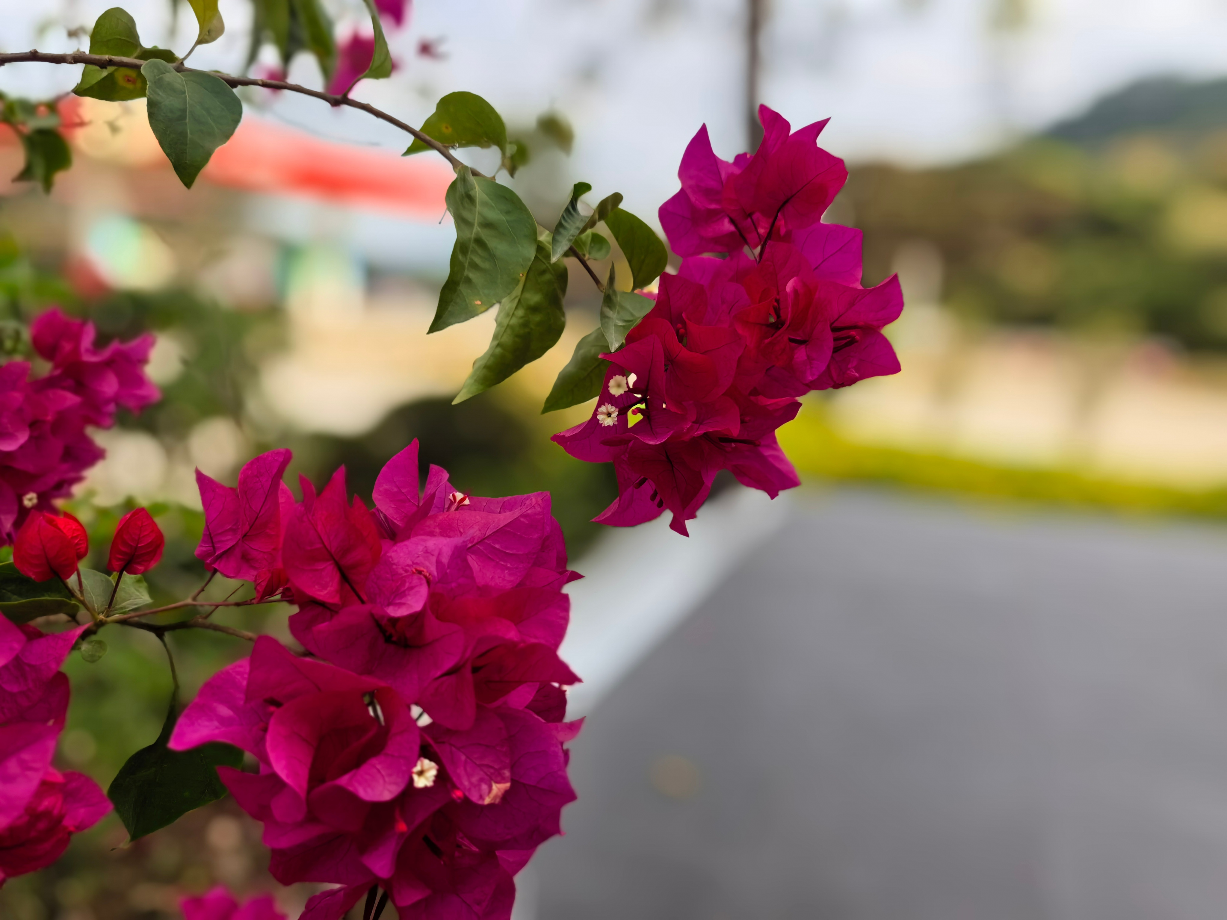 闲话投资1216孙子曰：故善战者之势，如转圆石于千仞之山者，势也。个人随笔：1.