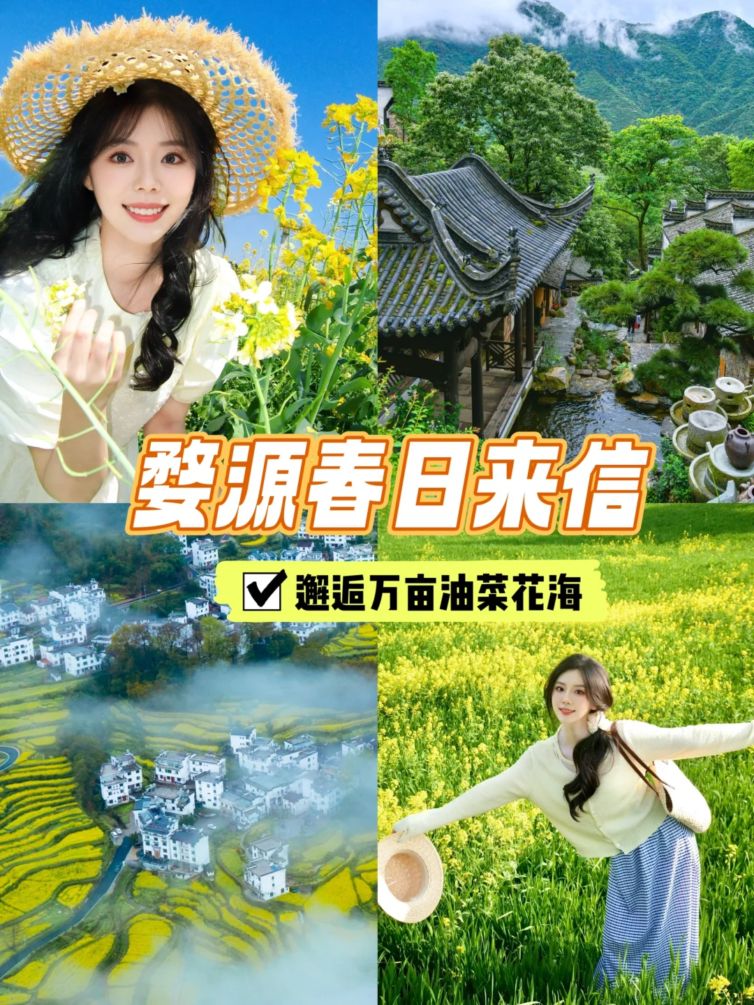 春日限定的金色浪漫｜婺源油菜花打卡攻略