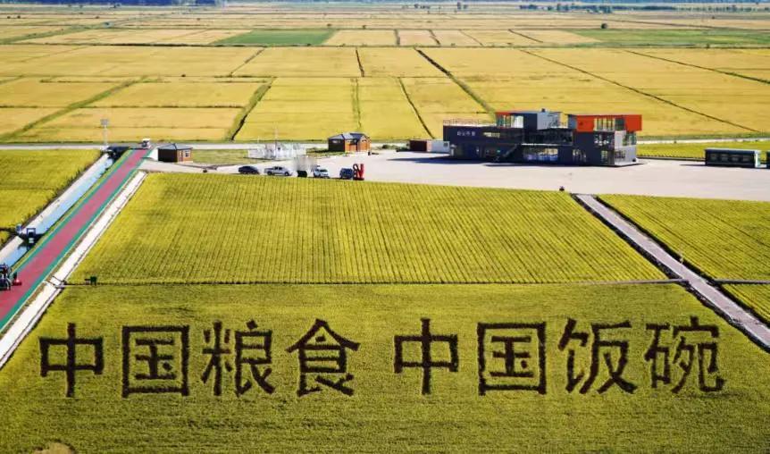 世界十大粮食生产国

全球粮食安全的基石，由少数几个农业强国共同筑牢。据联合国粮