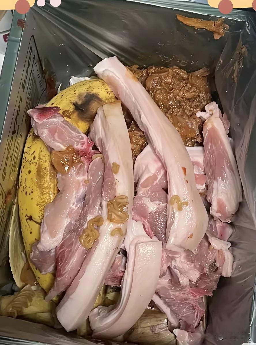 今天走到一个垃圾桶前，看有没有货，走近一看，眼睛放光，我的乖乖，今天踩到狗屎，里