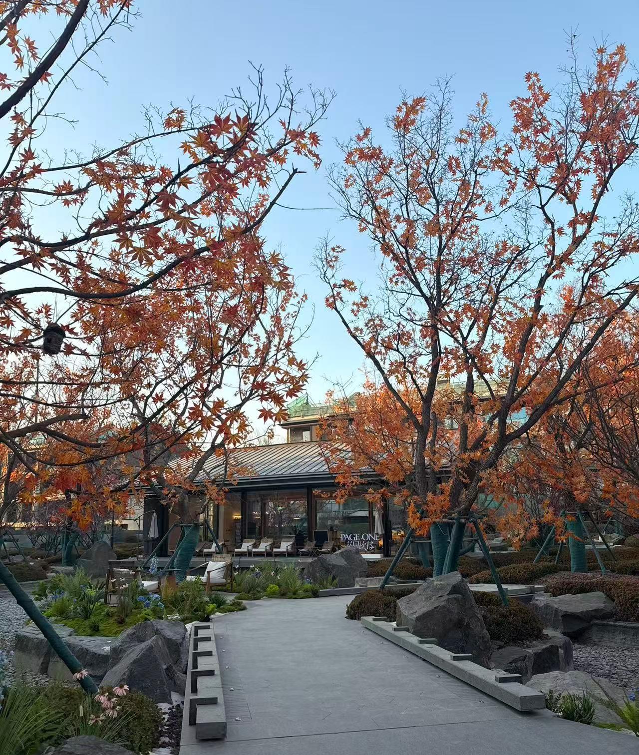 真相：评论区里唱衰的人越多，房价反弹的动能越大？

今日头条里经常刷楼市内容的朋