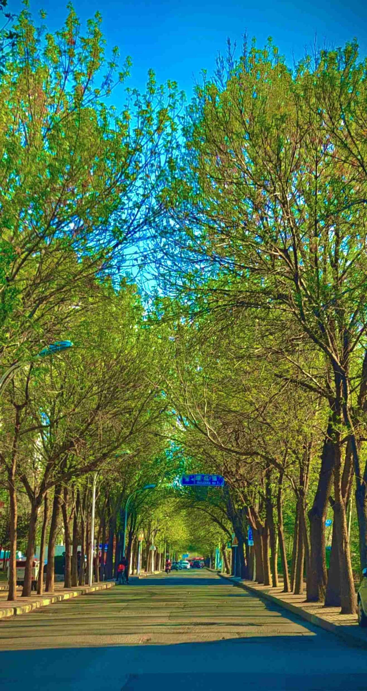 我的今日状态：💰期待暴富
我这里的天气：☀️晴天