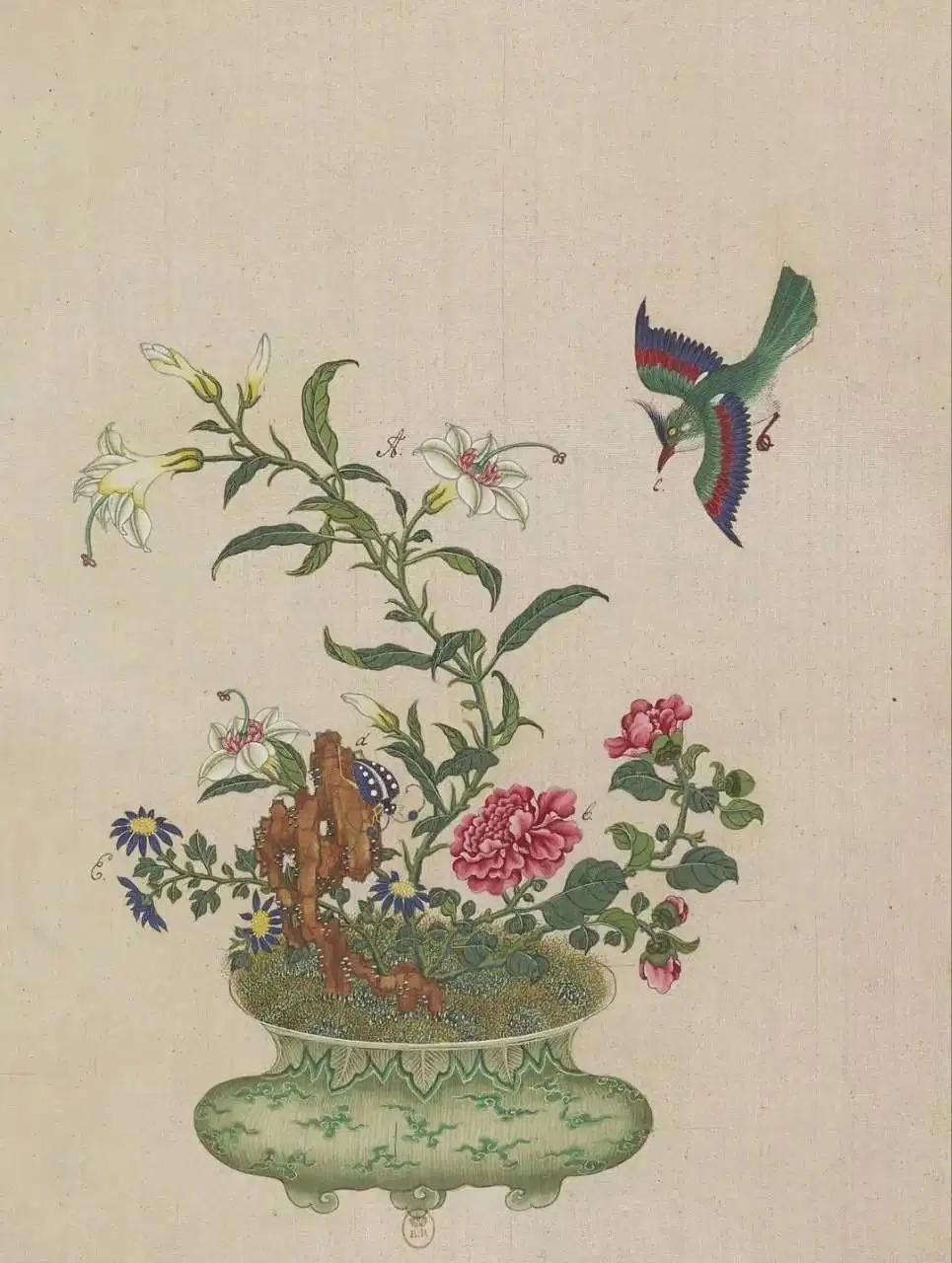 【佚名 清 外销画《盆景花鸟图册》】

清代外销画盆景花鸟图册，十八世纪，绘制各