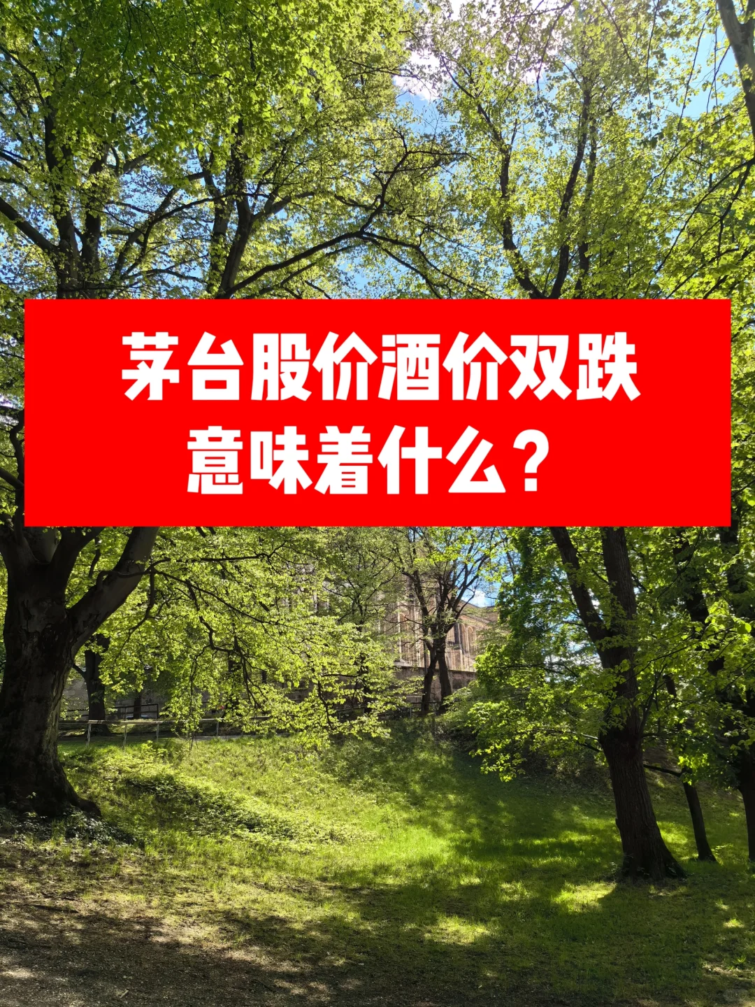 茅台股价酒价双跌：意味着什么？