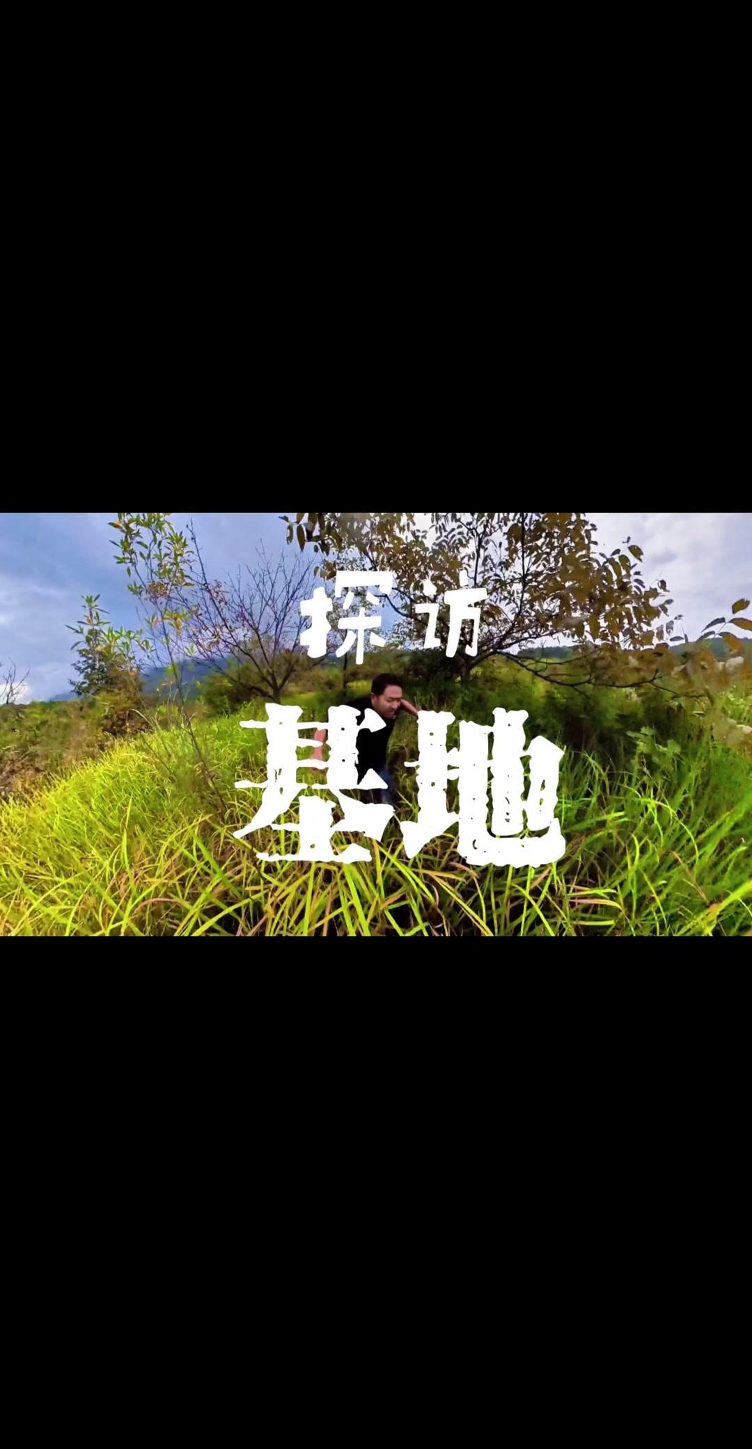 以前核桃价格好时，这里是热闹的生产基地，朋友常来聚会烧烤，晚上还会有人守园。如今