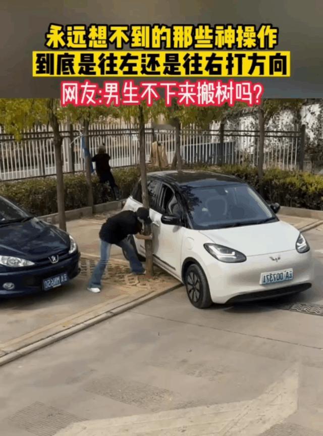 车被卡住了，想到的第一件事竟然是砍树，难道没有其它办法了！