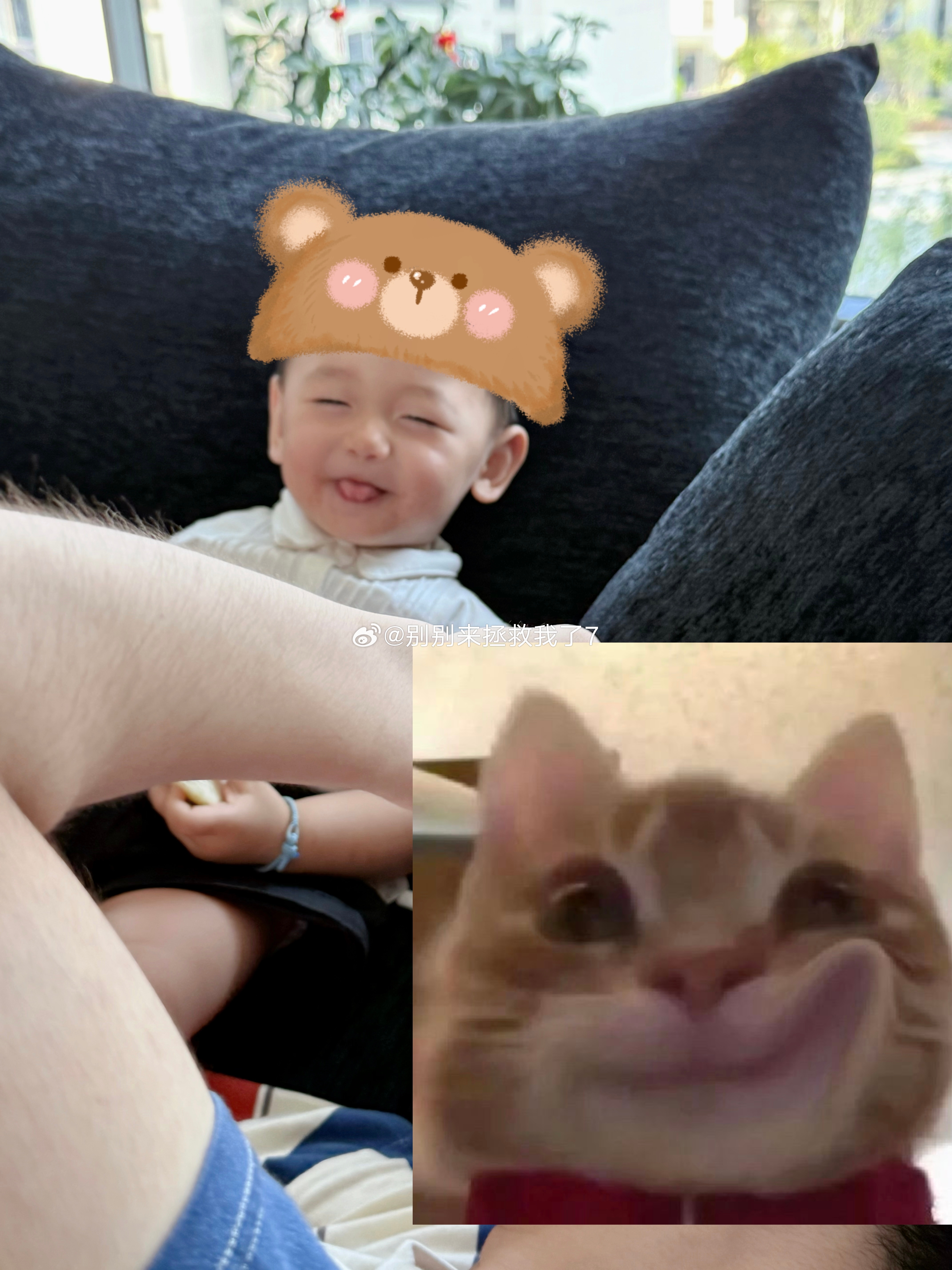 我们笑吐了 他也跟着笑哈哈哈哈哈哈哈（抓拍这张眯眯眼还吐舌太乖了！ ​​​