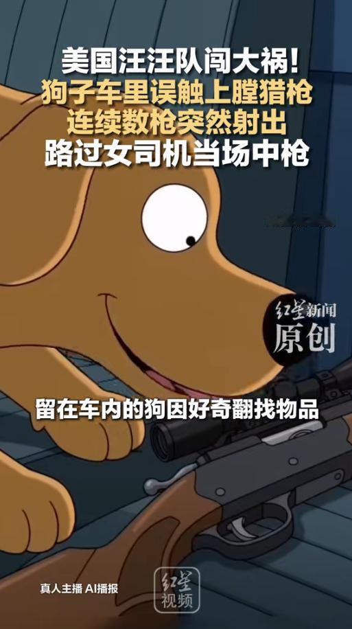“人怎么能这么倒霉！”当地时间5月23日，美国，一女子驾车在路口等红绿灯，顺手就