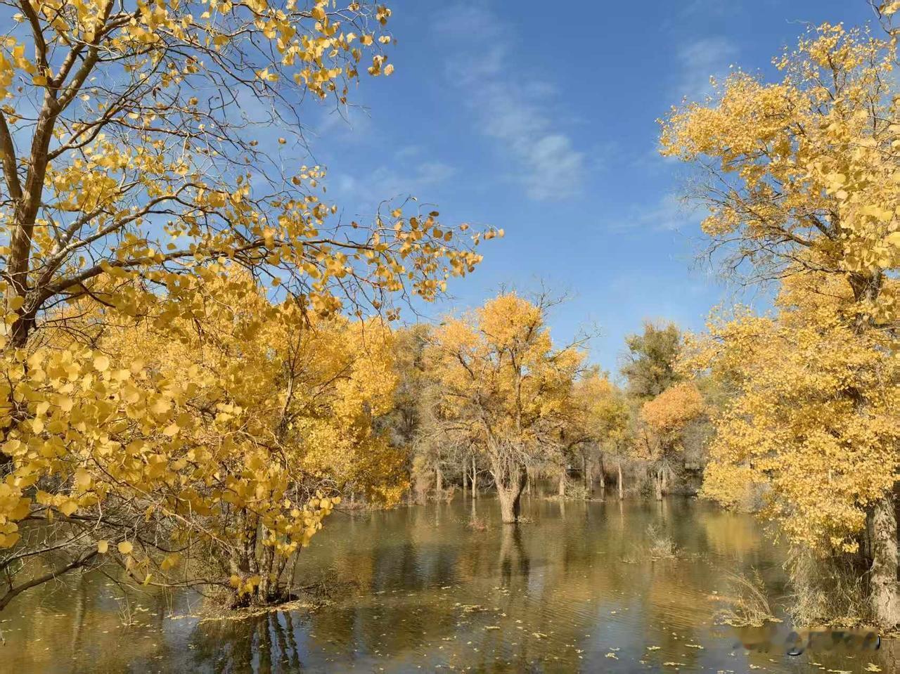 注解：
 
1. 格律对仗：“上上下下”对“分分合合”，叠字结构对应；“上下不易