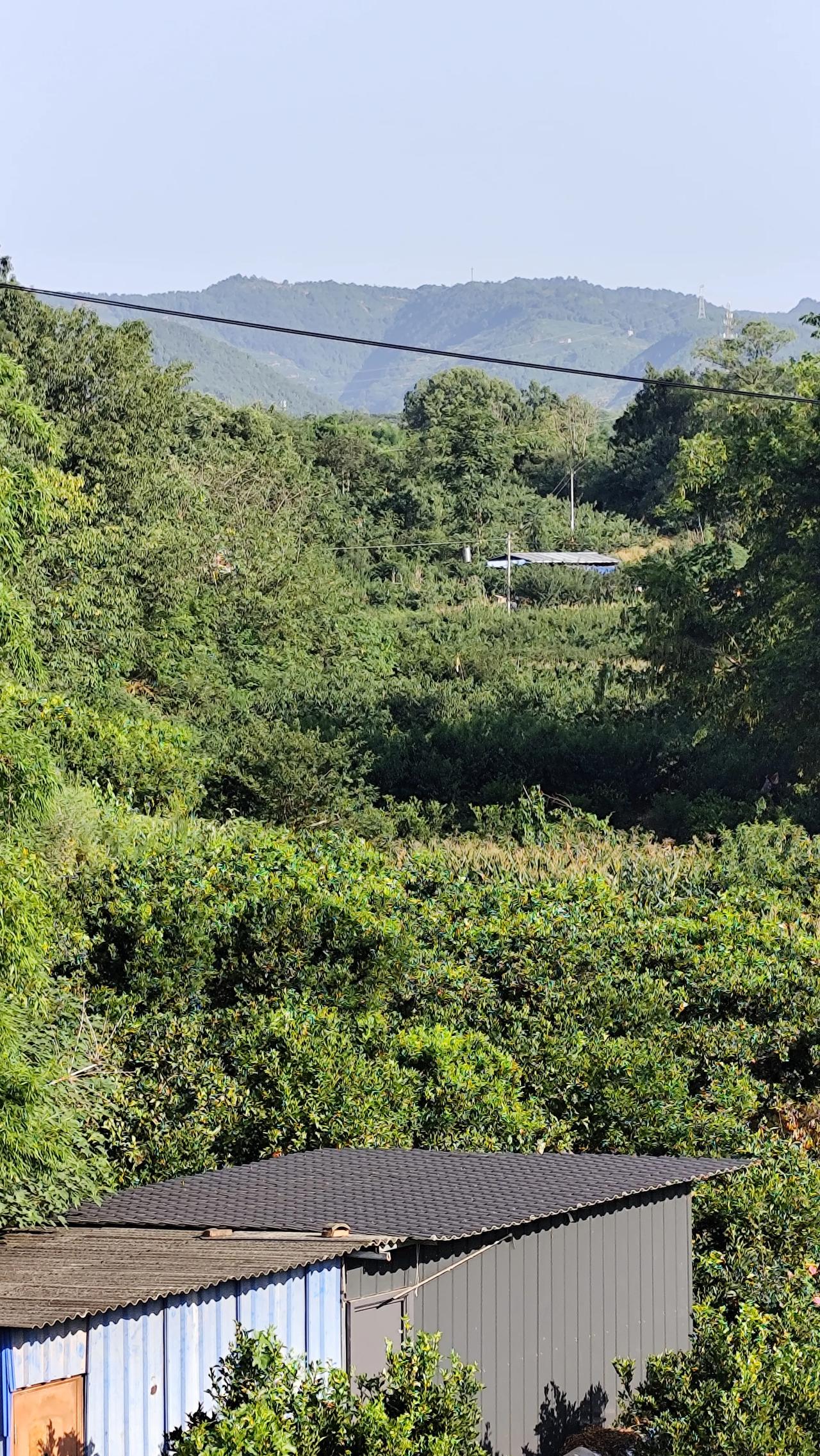 晒图笔记大赛乡村风景随手拍随手拍美景分享