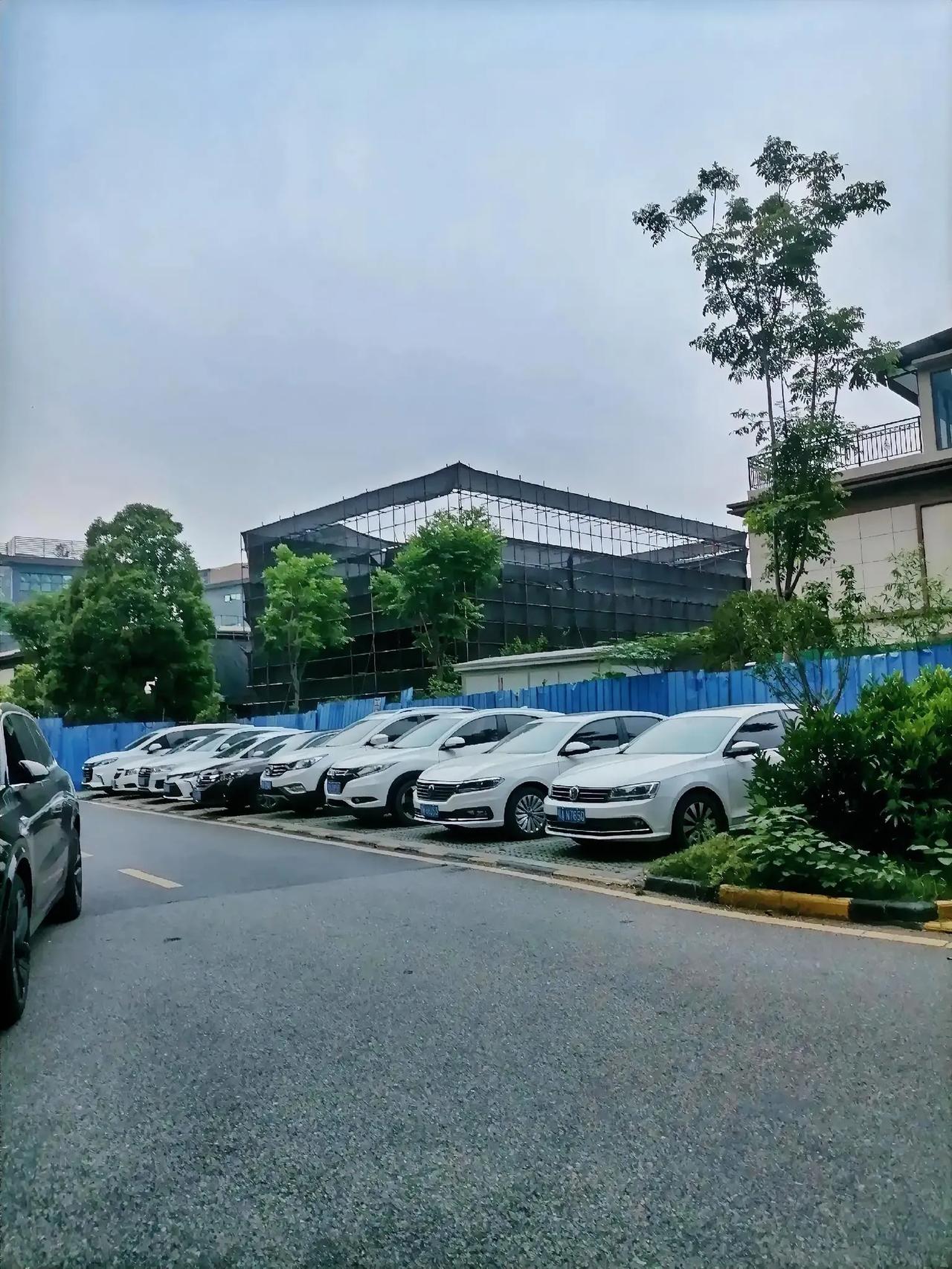 大家有没有觉得，许多人买车都喜欢买白颜色的，大街上的白色车明显比黑色车多一些，这