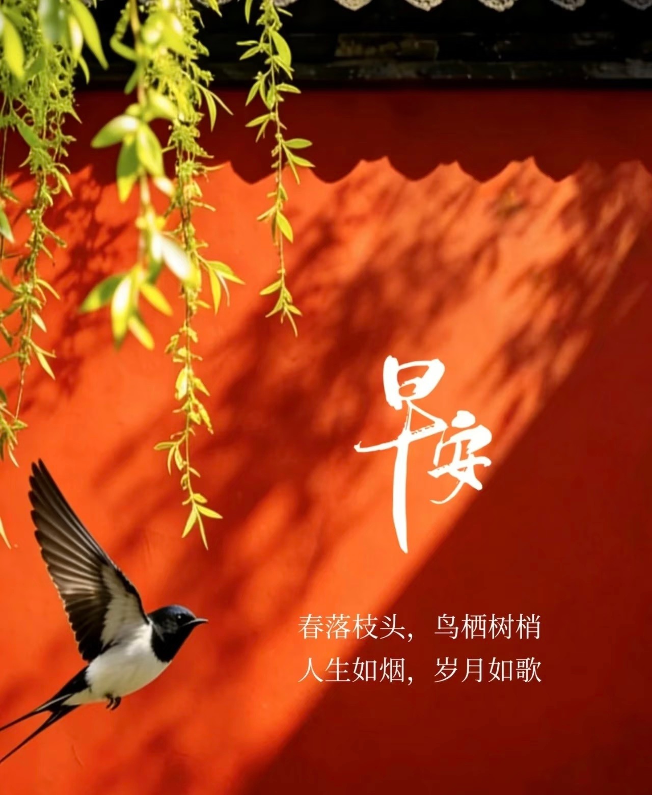 宝子们，早安。在这个追求速度的时代，从容似乎成了一种奢侈品。但比起外界的掌声，内