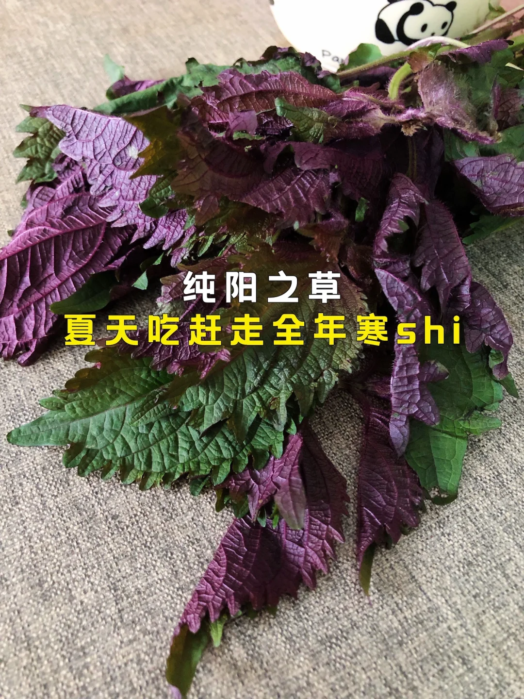 寒shi姐妹夏天都去吃它‼️去shi养pi胃 ‼️