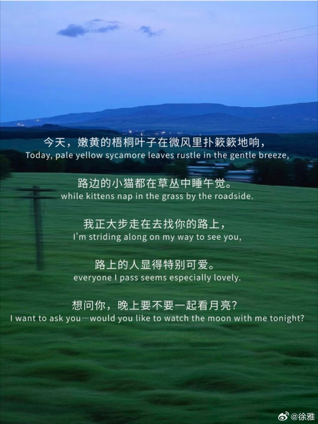 今天我，有点热爱生活 