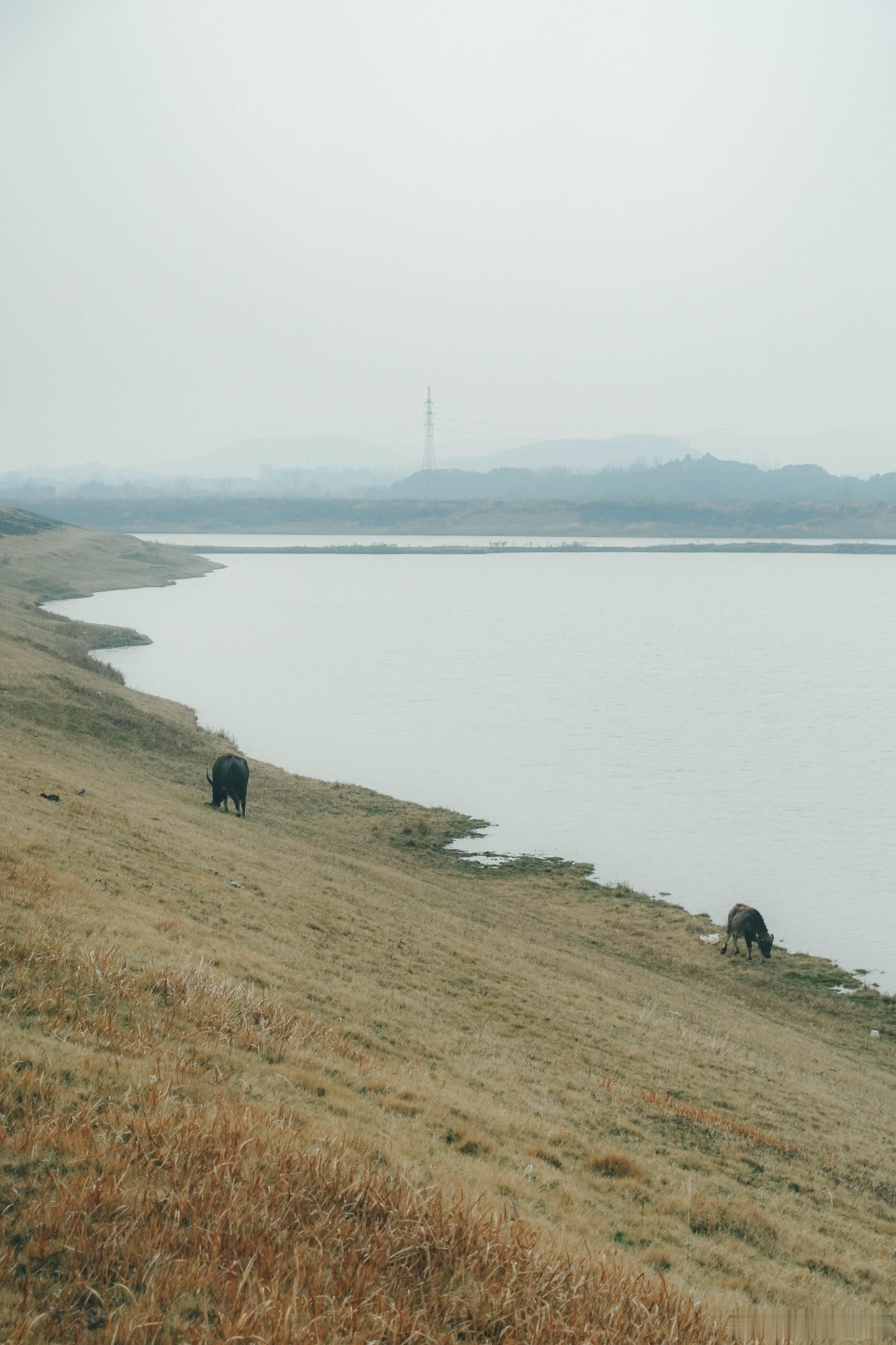 芜湖 冬天的漳河河堤 